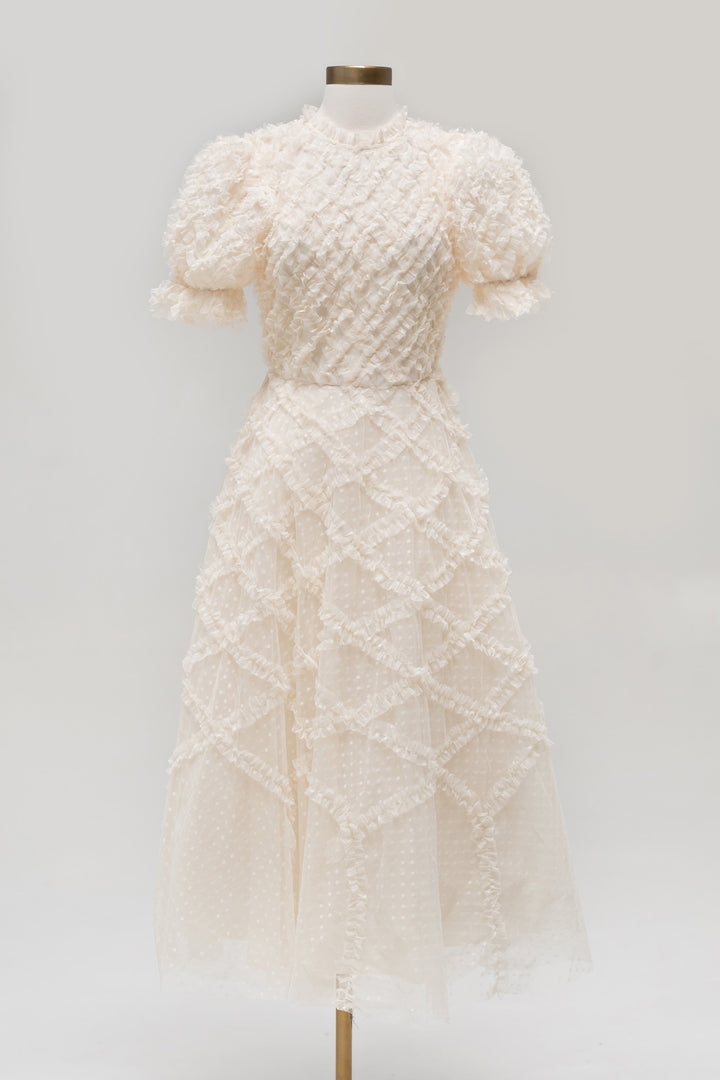 Gretchen Tulle Ruffled Dress