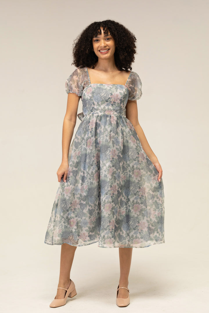 Sophia Floral Organza Dress