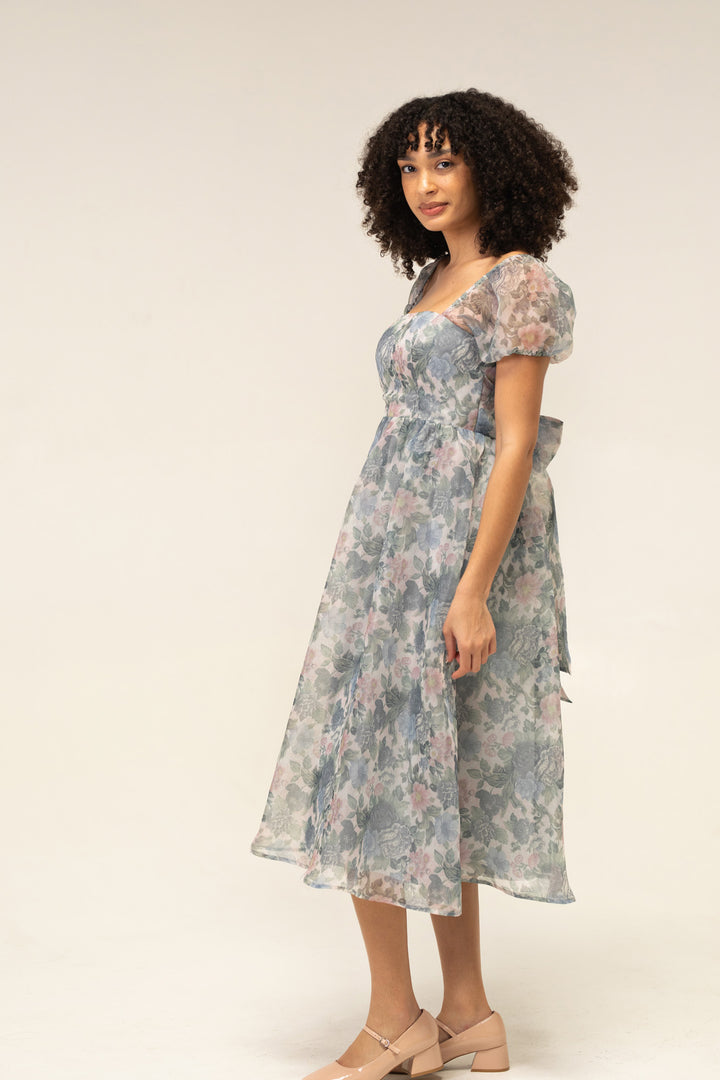 Sophia Floral Organza Dress