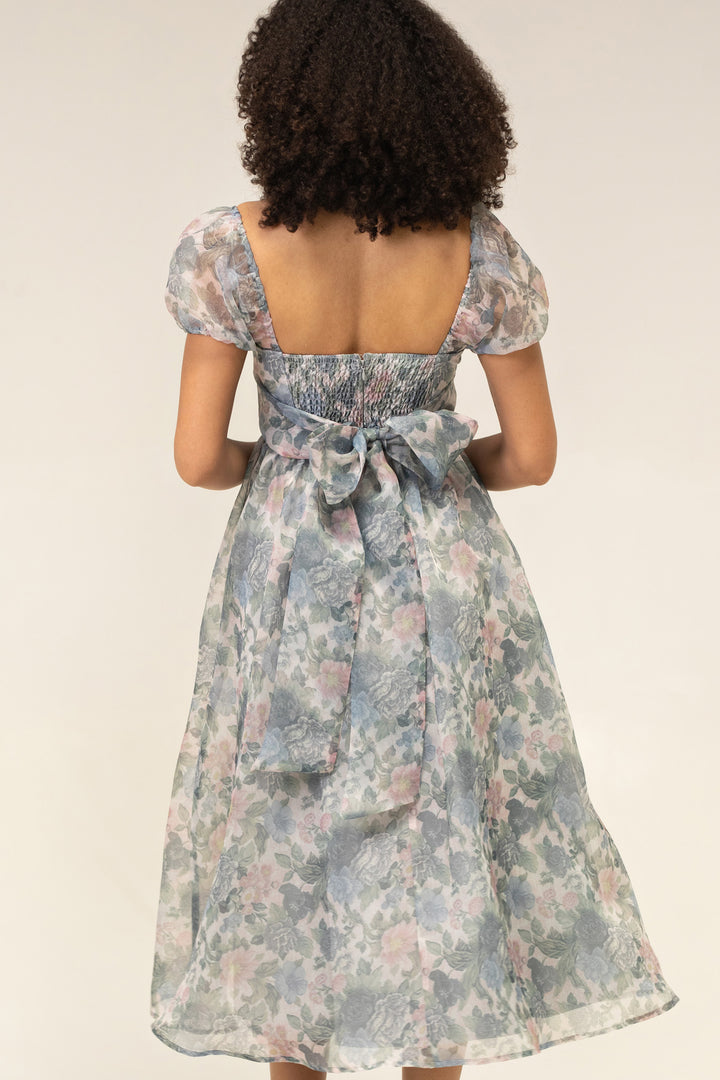 Sophia Floral Organza Dress