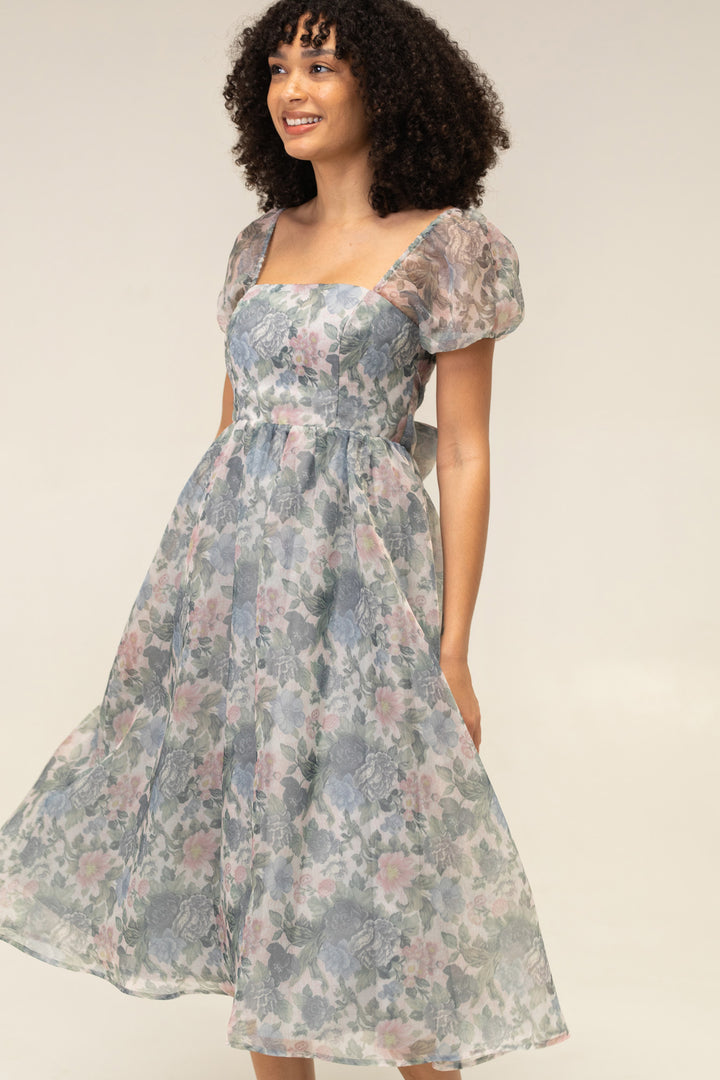 Sophia Floral Organza Dress