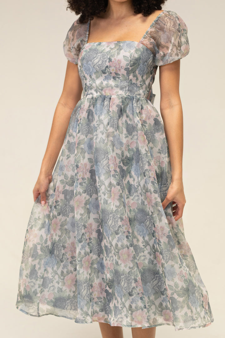 Sophia Floral Organza Dress