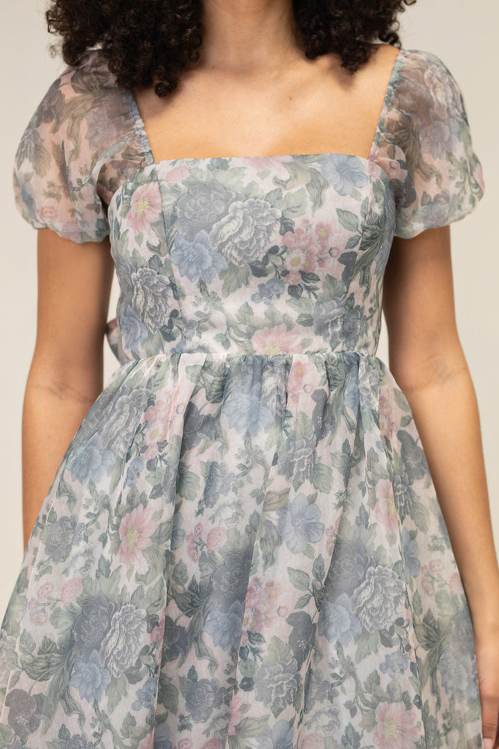 Sophia Floral Organza Dress