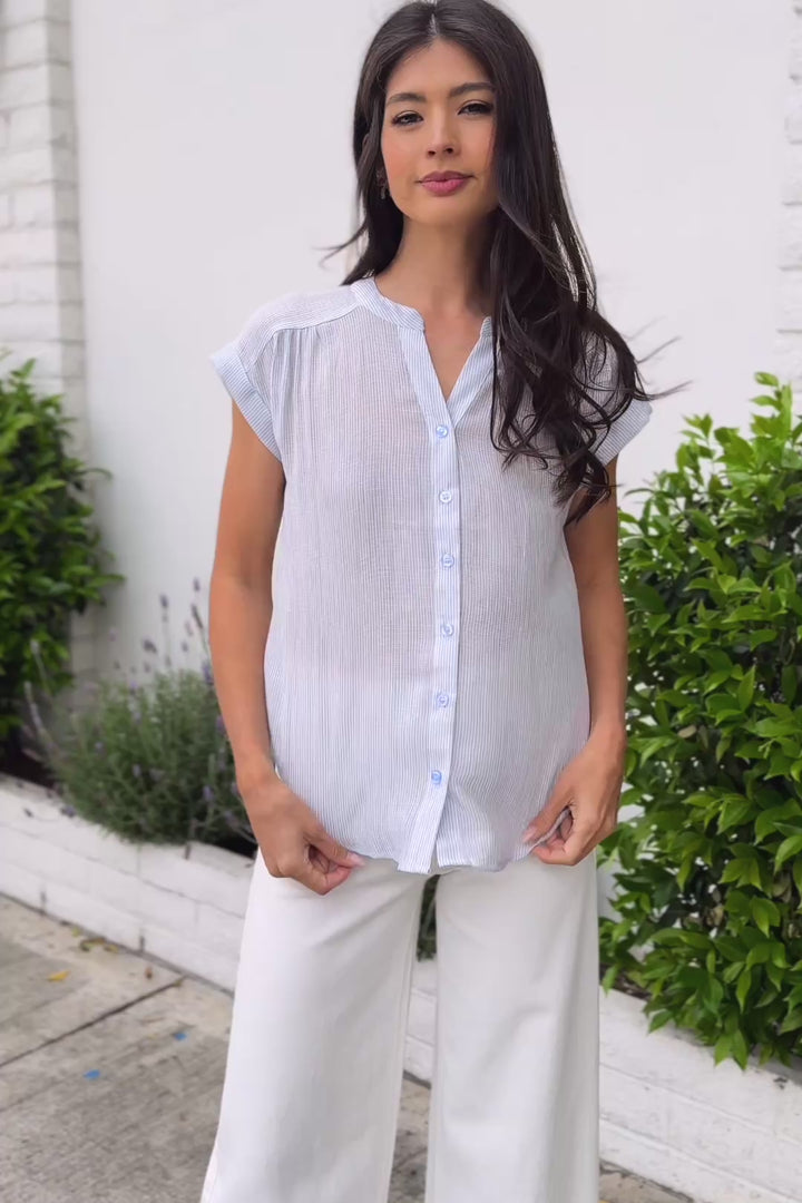 Aja Pinstripe Buttoned Top